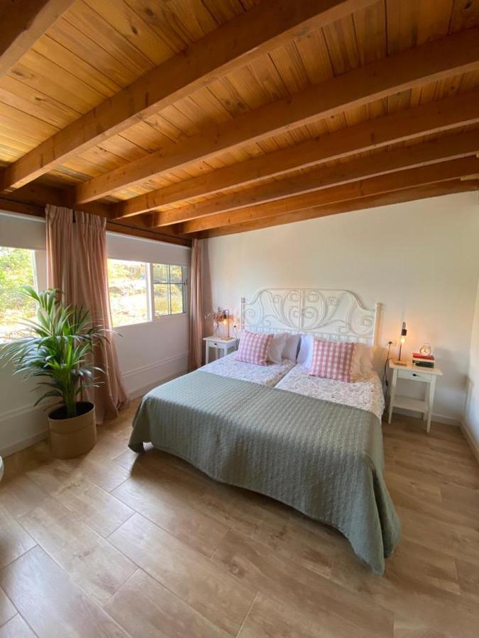 דירות איקוד דה לוס וינוס Apartamento Acogedor En El Norte De La Isla מראה חיצוני תמונה